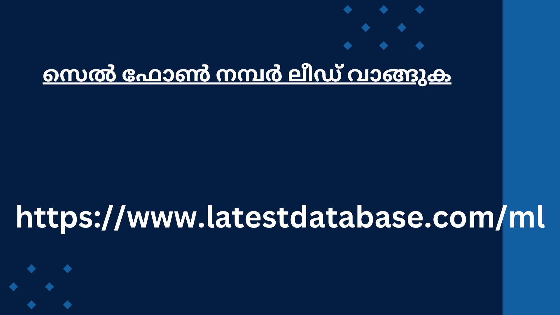 സെൽ ഫോൺ നമ്പർ ലീഡ് വാങ്ങുക