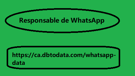 Responsable de WhatsApp